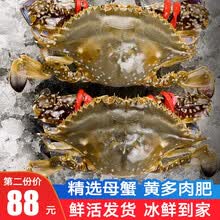 鲜活花蟹价格报价行情 京东