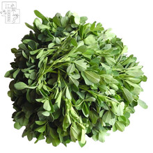 芽苗菜养殖价格报价行情 京东