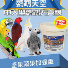 红头葵花鹦鹉价格报价行情 京东 红头葵花鹦鹉价格报价行情 京东