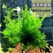 固定水草新款 固定水草21年新款 京东