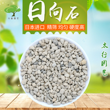 轻石进口价格报价行情 京东