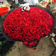 红色花束价格报价行情 京东