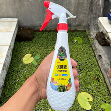 植物细胞分裂素新款 植物细胞分裂素21年新款 京东 植物细胞分裂素新款 植物细胞分裂素21年新款 京东