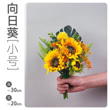 花花卡通花束价格及图片表 京东