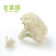 白菜花品牌及商品 京东