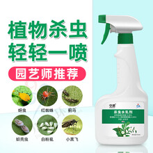 室内植物除虫型号规格 京东 室内植物除虫型号规格 京东
