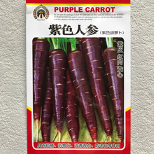 人参菜种子价格报价行情 京东