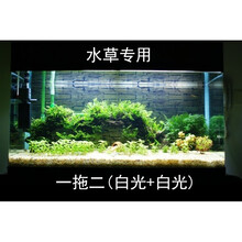T8水草灯管价格报价行情 京东