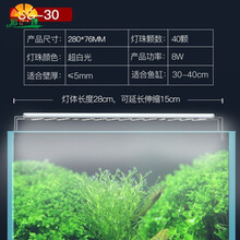 水草灯30cm新款 水草灯30cm21年新款 京东