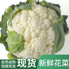 菜花价格报价行情 京东