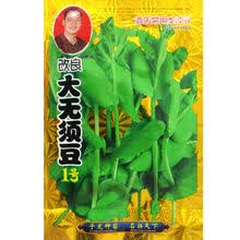 豆苗菜价格报价行情 京东