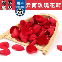 鲜玫瑰花瓣新款 鲜玫瑰花瓣21年新款 京东