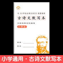 杜邦线英语新款 杜邦线英语21年新款 京东