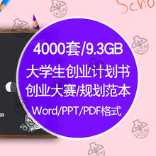 商业计划书范文价格报价行情 京东