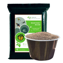 独角仙幼虫价格报价行情 京东