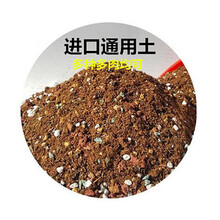 多肉植物经济土新款 多肉植物经济土21年新款 京东