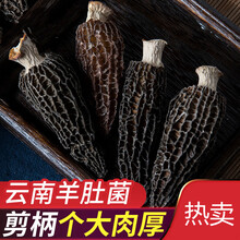 新鲜羊肚菌价格报价行情 京东