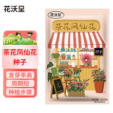 山茶种子价格报价行情 京东