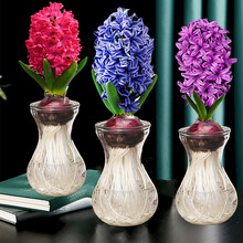 水仙紫色价格报价行情 京东