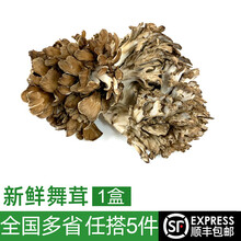 舞茸灰树花品牌及商品- 京东