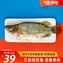 桂花鱼新款 桂花鱼21年新款 京东