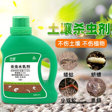 室内植物除虫型号规格 京东 室内植物除虫型号规格 京东