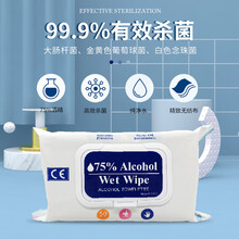 湿纸巾出口价格报价行情 京东 湿纸巾出口价格报价行情 京东