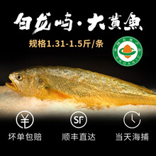 生态黄花鱼价格报价行情 京东