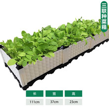 菜园花盆家庭园艺价格报价行情 京东