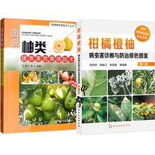 文旦柚栽培价格报价行情 京东