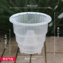 透明兰花盆图片 京东 透明兰花盆图片 京东