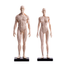 男人体雕塑新款 男人体雕塑21年新款 京东