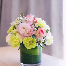 鲜花小桌花价格报价行情 京东