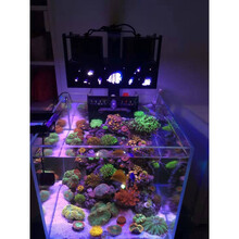 Diy海水缸led灯价格报价行情 京东