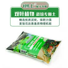 观叶植物栽培土价格报价行情 京东