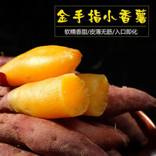 ​高剪红薯苗的成活率更高吗？！