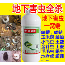 花盆驱虫新款 花盆驱虫年新款 京东