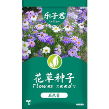 花坛草花价格报价行情 京东