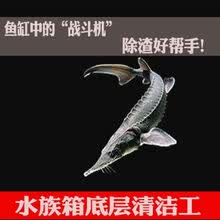 鲁鱼排行- 京东