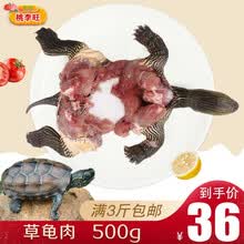 王八肉价格报价行情 京东