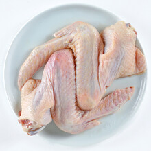 鸭全翅鸭三节翅2斤装新鲜冷冻生鸭翅膀鸭肉红烧烧烤卤味鸭翅食材