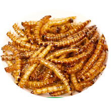 油炸昆虫价格报价行情 京东