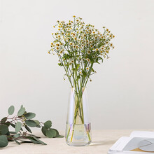 五彩玻璃花瓶新款 五彩玻璃花瓶21年新款 京东