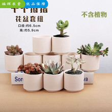 Diy 花盆排行 京东