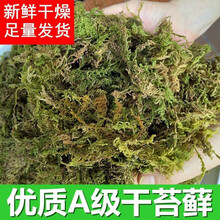 水苔干品牌及商品 京东