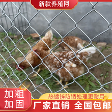 养殖勾花网价格报价行情 京东 养殖勾花网价格报价行情 京东