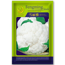 京东花椰菜种子排行 京东