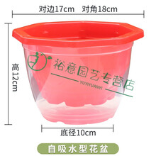 透明兰花盆新款 透明兰花盆21年新款 京东