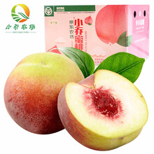 白肉毛桃品牌及商品 京东