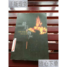山崎章郎型号规格 京东